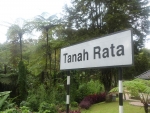 bis ich endlich in Tanah Rata eintraff